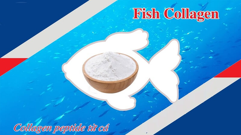 Fish collagen có ưu điểm gì