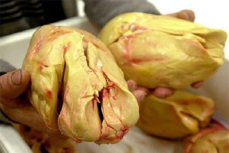 Tìm hiểu Foie Gras là gì
