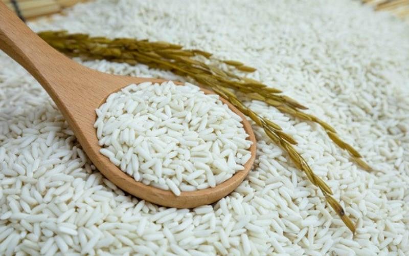 Khái niệm gạo nếp là gì