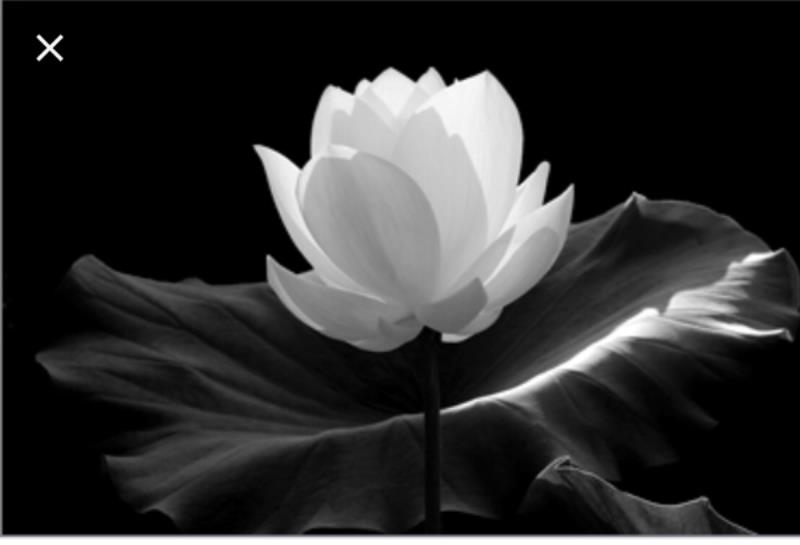 Mẫu giấy chứng tử được cấp khi gia đình có người mất