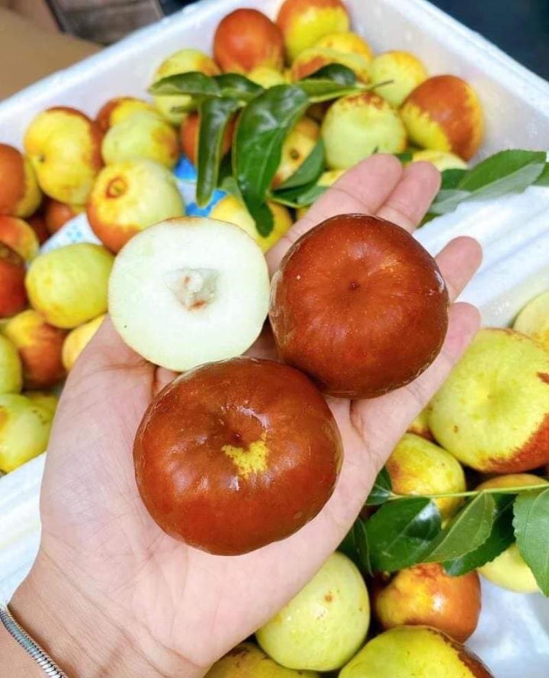 Giá trị dinh dưỡng trong hồng táo