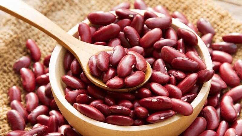 Đậu tây rất giàu protein và khoáng chất