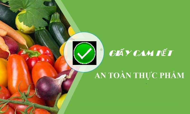 Hiểu thế nào về mẫu giấy cam kết an toàn thực phẩm