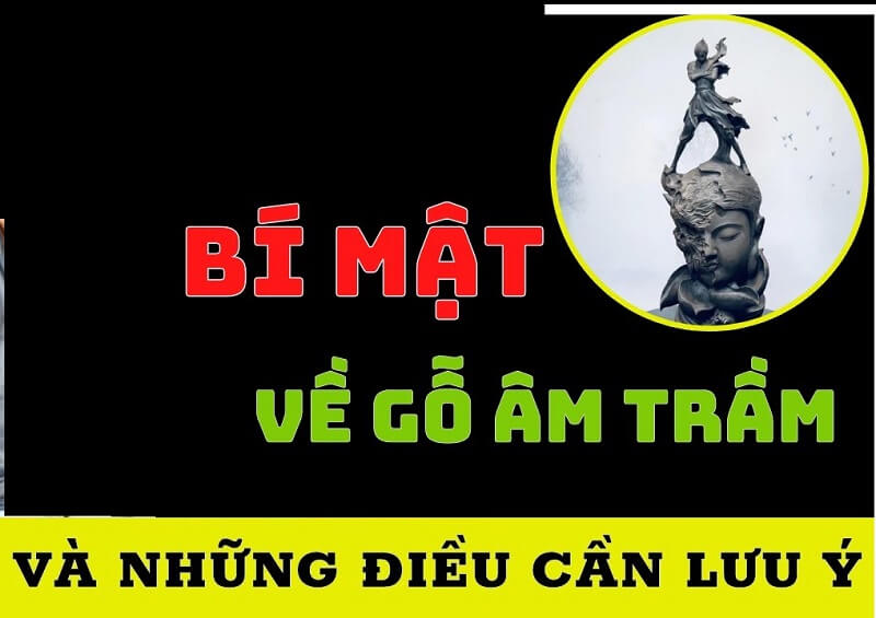 Gỗ Âm trầm - khái niệm cần hiểu biết