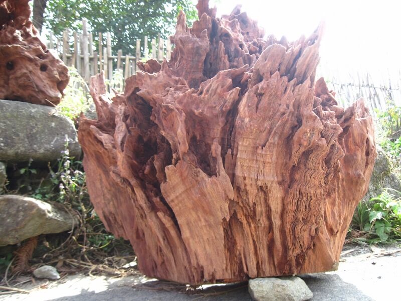 Gỗ Ngọc Am là gì