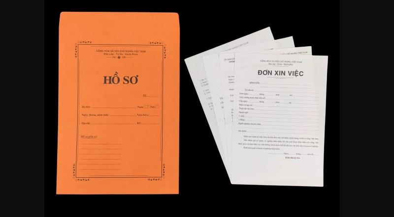 Bí quyết giúp chuẩn bị hồ sơ ứng tuyển Hansol hiệu quả