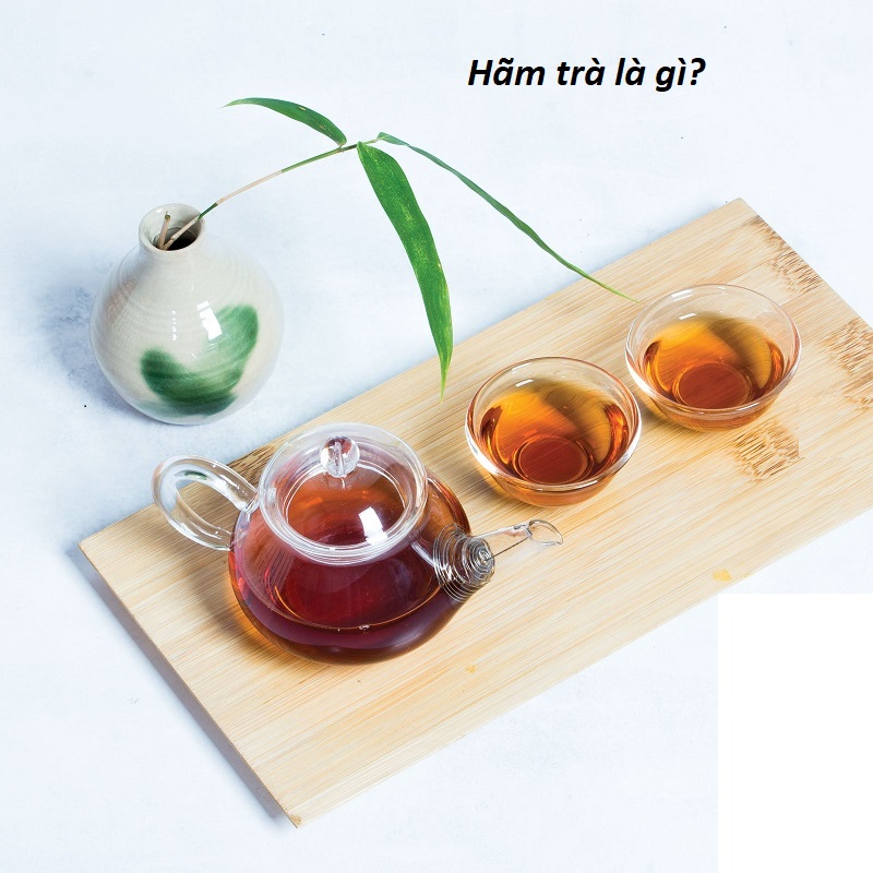 Hãm trà là gì