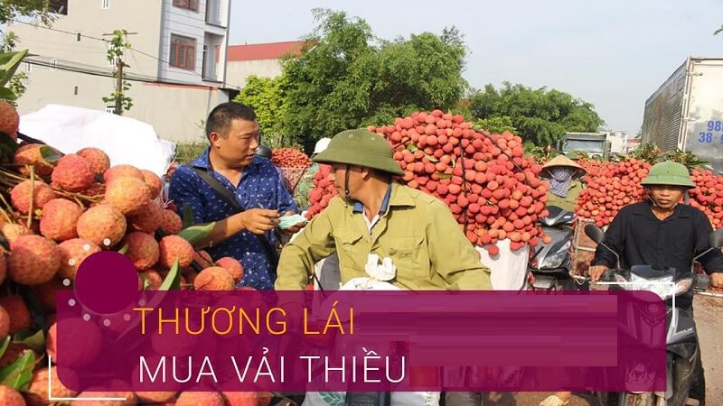 Những hạn chế do thương lái mang lại