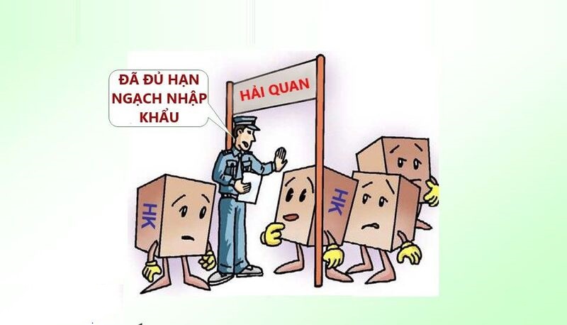 Đối tượng được cấp giấy phép nhập khẩu theo hạn ngạch thuế quan