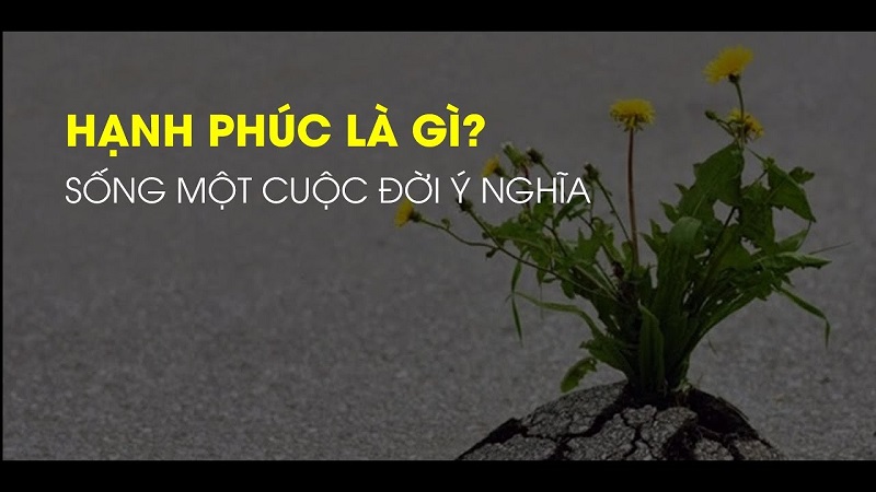 Hạnh phúc nghĩa là gì