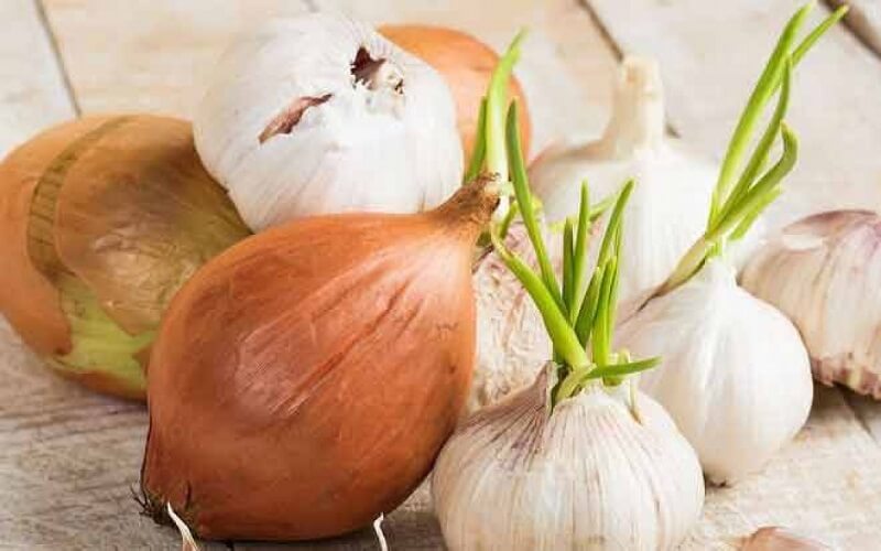 Hành tỏi mọc mầm liệu có ăn được không?