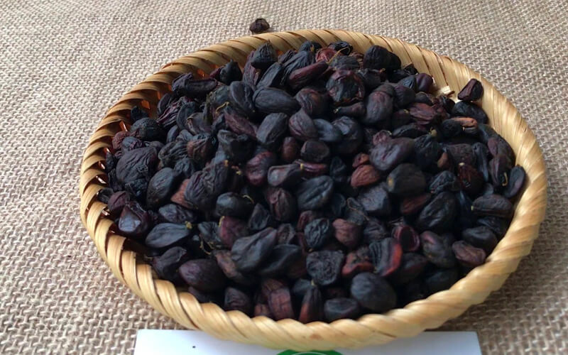 Lợi ích của hạt dổi