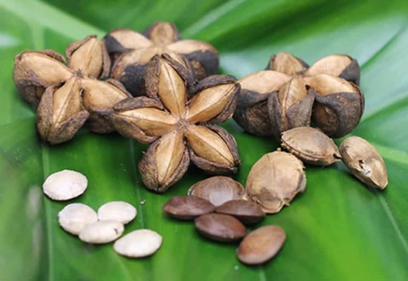 ​Tốt cho hệ tiêu hóa