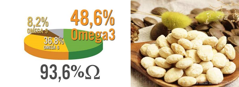 Hàm lượng dinh dưỡng của hạt sachi