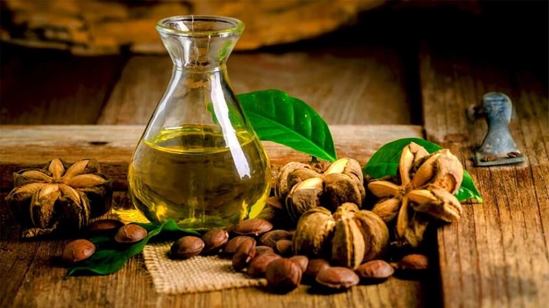 Chế biến hạt sachi