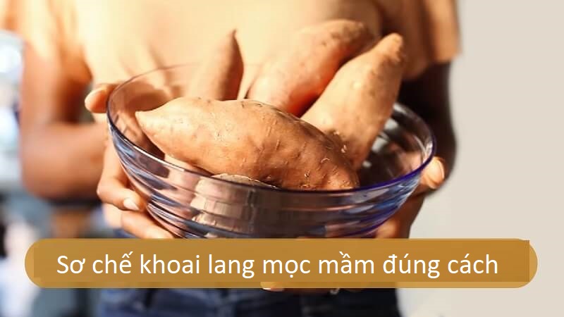 Mặc dù không gây hại nhưng cần biết sơ chế khoai lang mọc mầm đúng cách