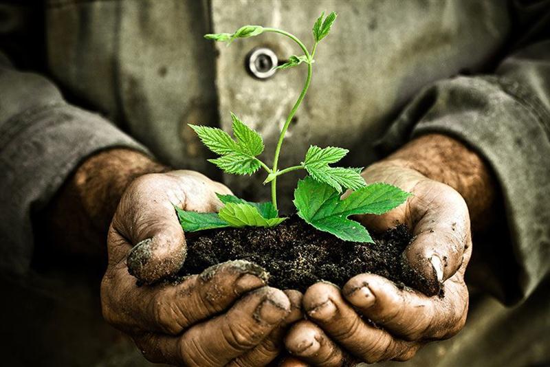 Khái niệm HDI là gì