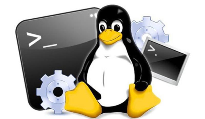 Hệ điều hành Linux được dân lập trình ưa thích