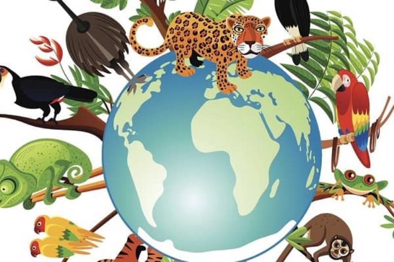 Những hệ luỵ của việc mất đa dạng sinh học