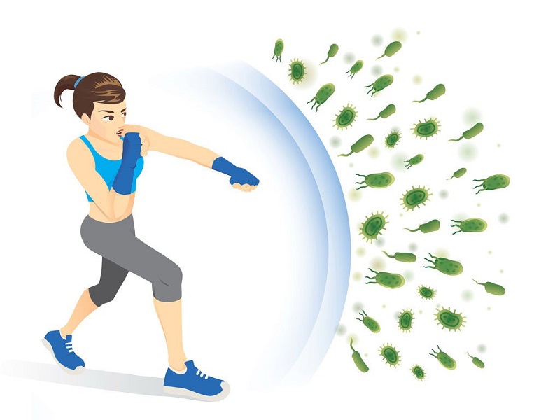 Hệ miễn dịch được tăng cường