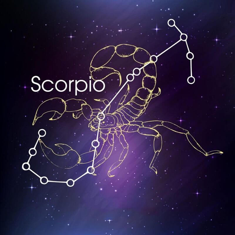 Lý lịch về cung Bọ Cạp (Hổ Cáp)