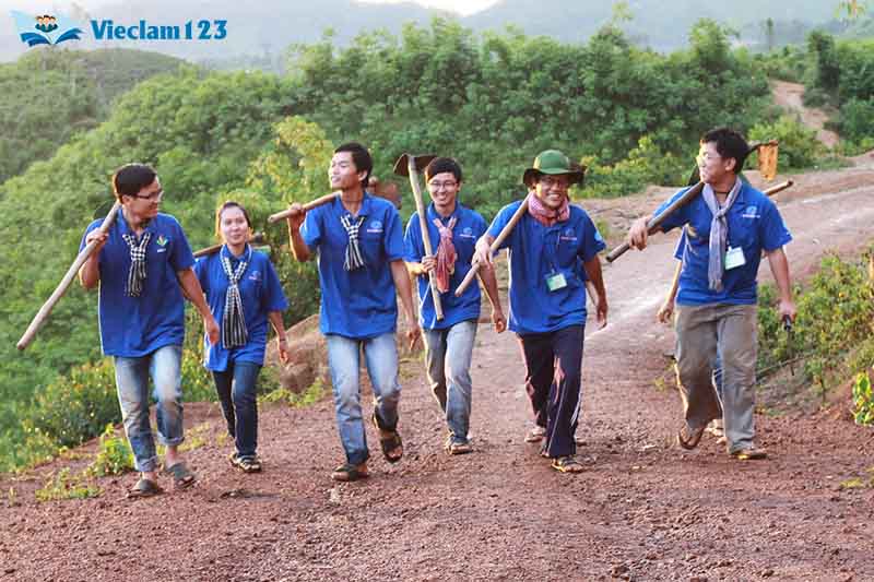 Liệt kê các hoạt động tham gia