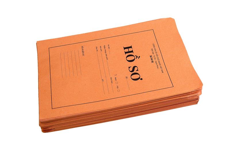 Hồ sơ Taxi Mai Linh chuẩn bị ra sao?