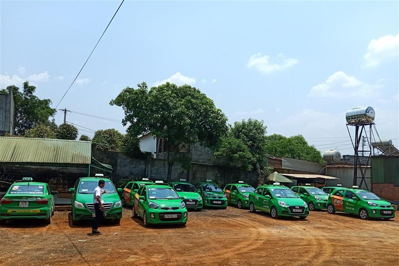 Hồ sơ xin vào làm tại hãng Taxi Mai Linh