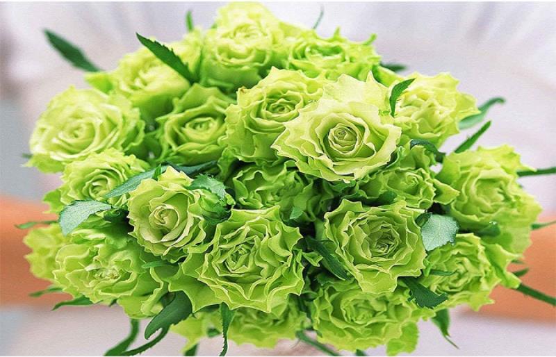 Mỗi màu hoa tượng trưng cho ý nghĩa khác nhau