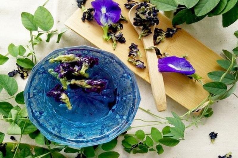 Hoa đậu biếc là hoa gì