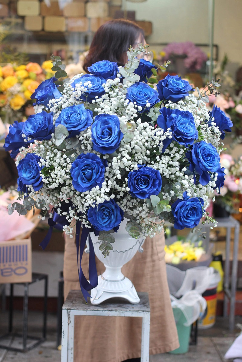 ​Đặc điểm của hoa hồng Ecuador