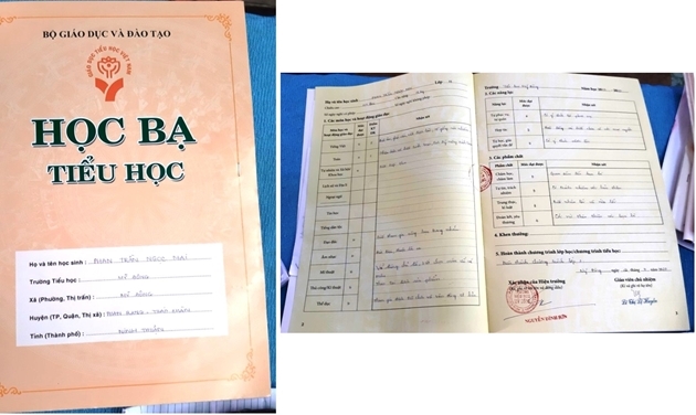 học bạ của học sinh tiểu học