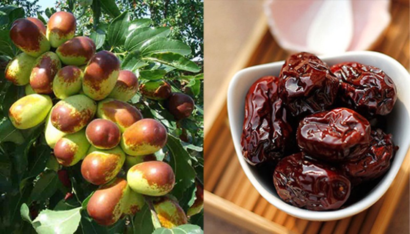 Tìm hiểu quả hồng táo là gì