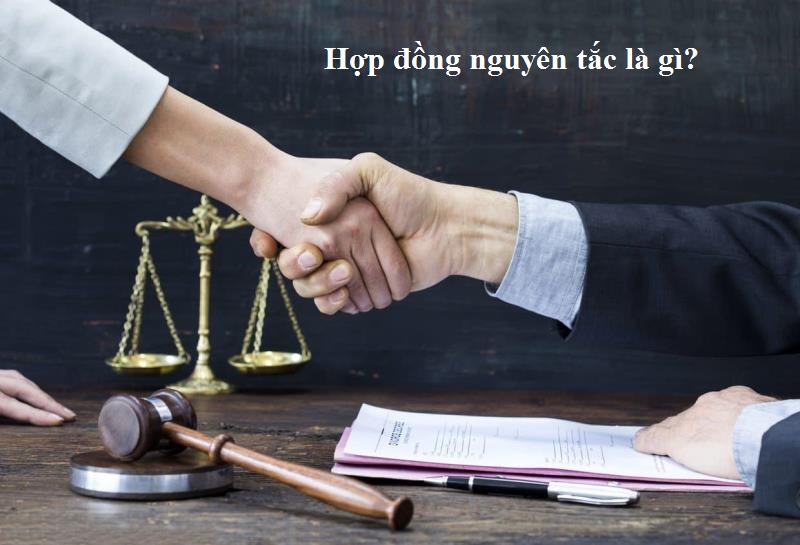 Hợp đồng nguyên tắc là gì 