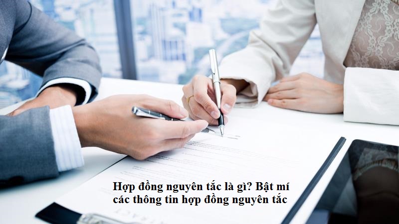 Phân biệt hợp đồng nguyên tắc