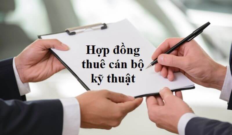 Đưa ra các căn cứ trong hợp đồng 