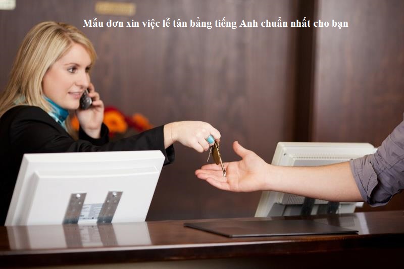 Viết mở đầu đơn xin việc lễ tân bằng tiếng Anh