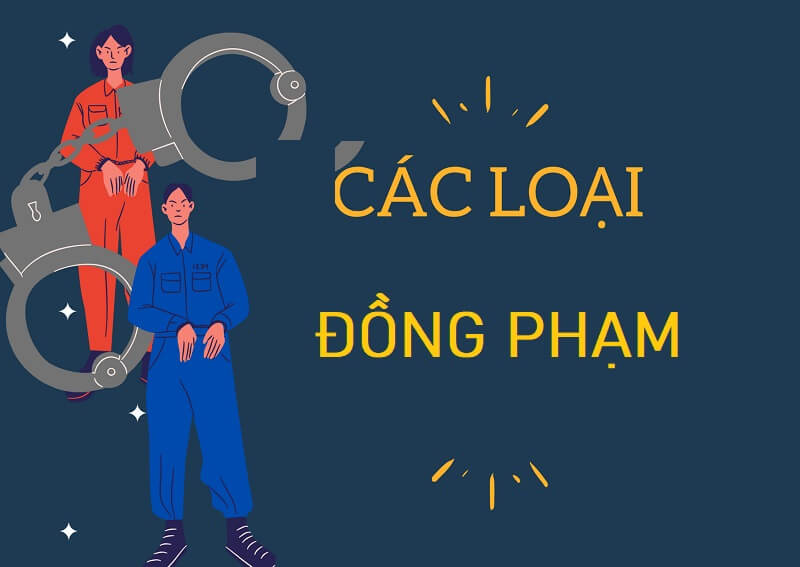 Những loại đồng phạm