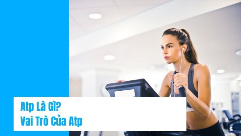 Tầm quan trọng của ATP