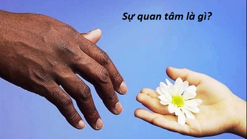 Khái niệm quan tâm