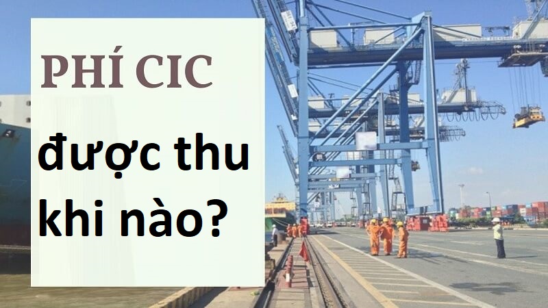 Khi nào phí CIC sẽ được thu