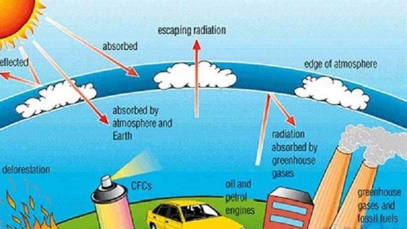  Ảnh hưởng đến các loài sinh vật
