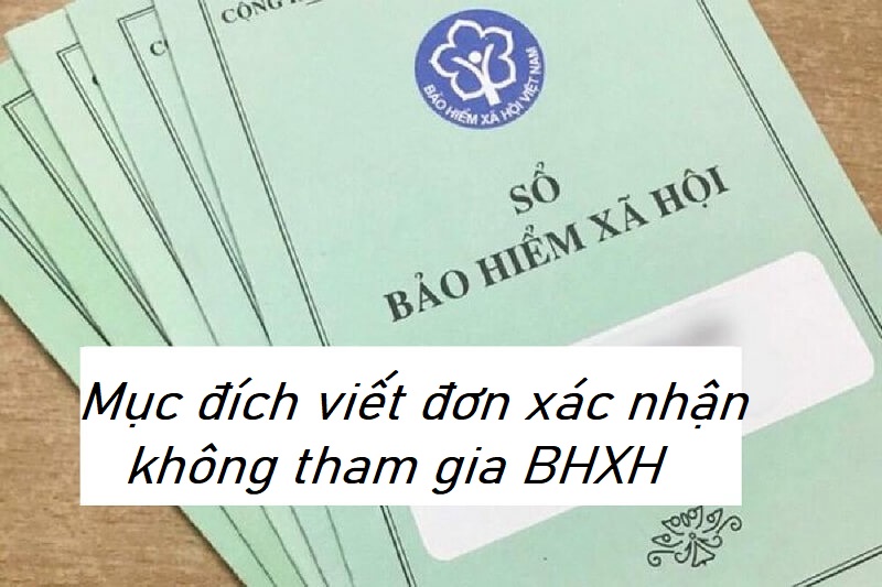 Không tham gia bảo hiểm xã hội cũng phải viết đơn xác nhận để không vi phạm vào luật bảo hiểm xã hội Việt Nam