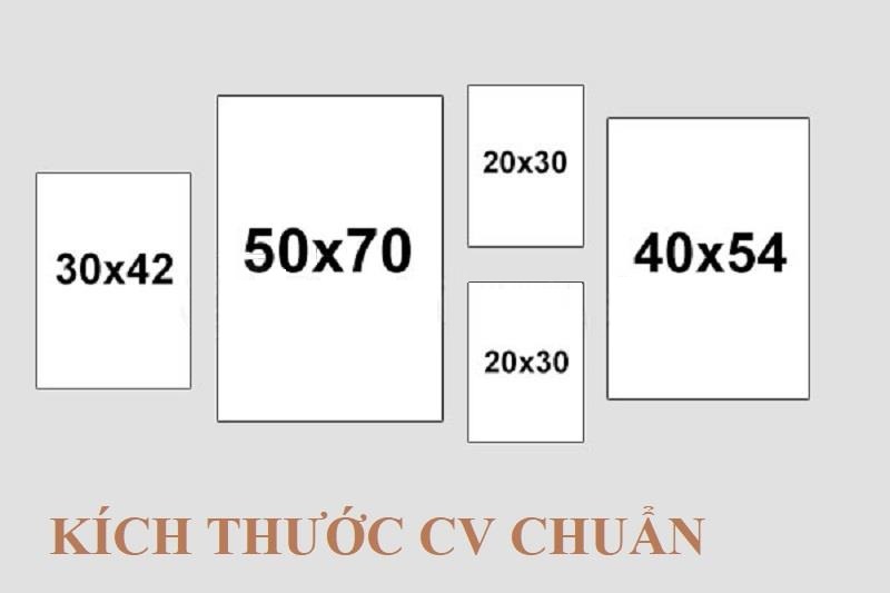Kích thước CV chuẩn nhìn từ góc độ nhà tuyển dụng