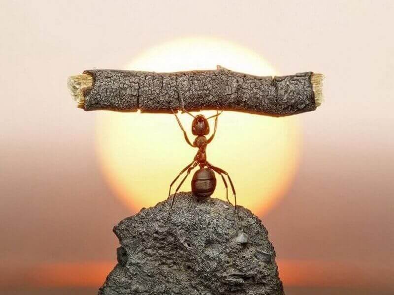 Là một đức tính tốt