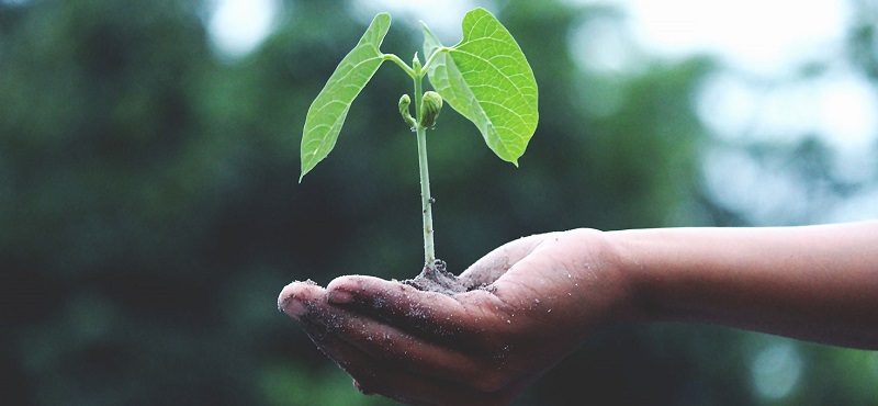 Ý nghĩa của sự kiên trì