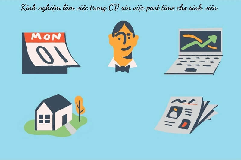 Làm nổi bật phần kinh nghiệm làm việc