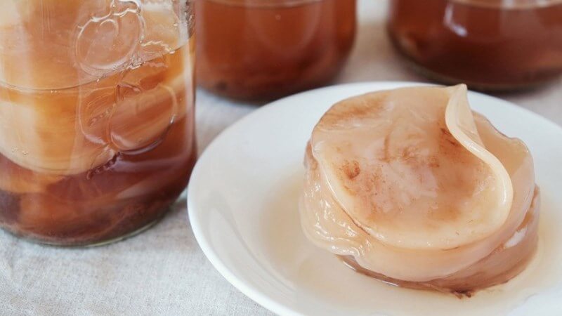 Nguồn gốc của kombucha