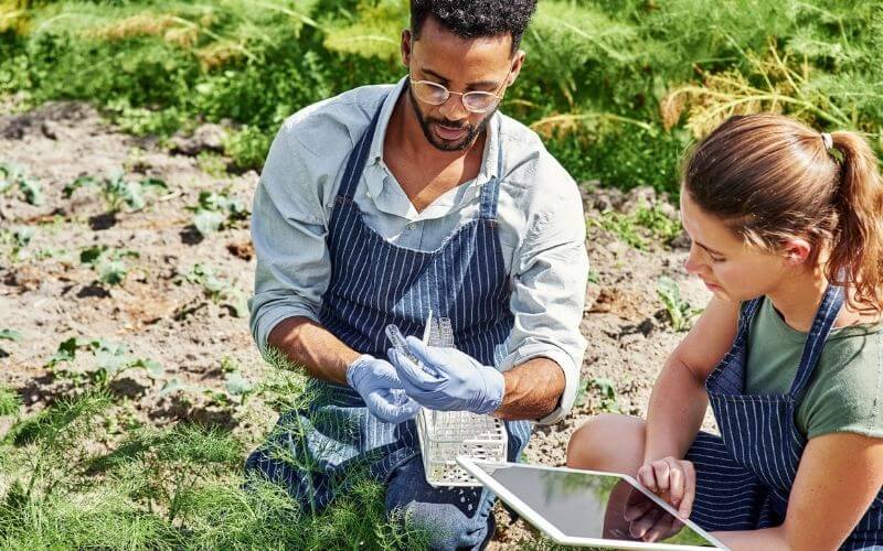 Kỹ sư nông nghiệp là gì?