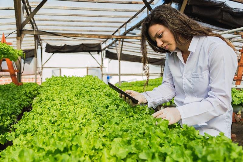 Kỹ sư nông nghiệp có mức lương hấp dẫn